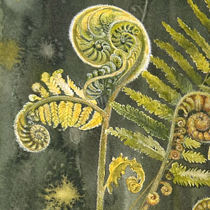 calligraphy art detail